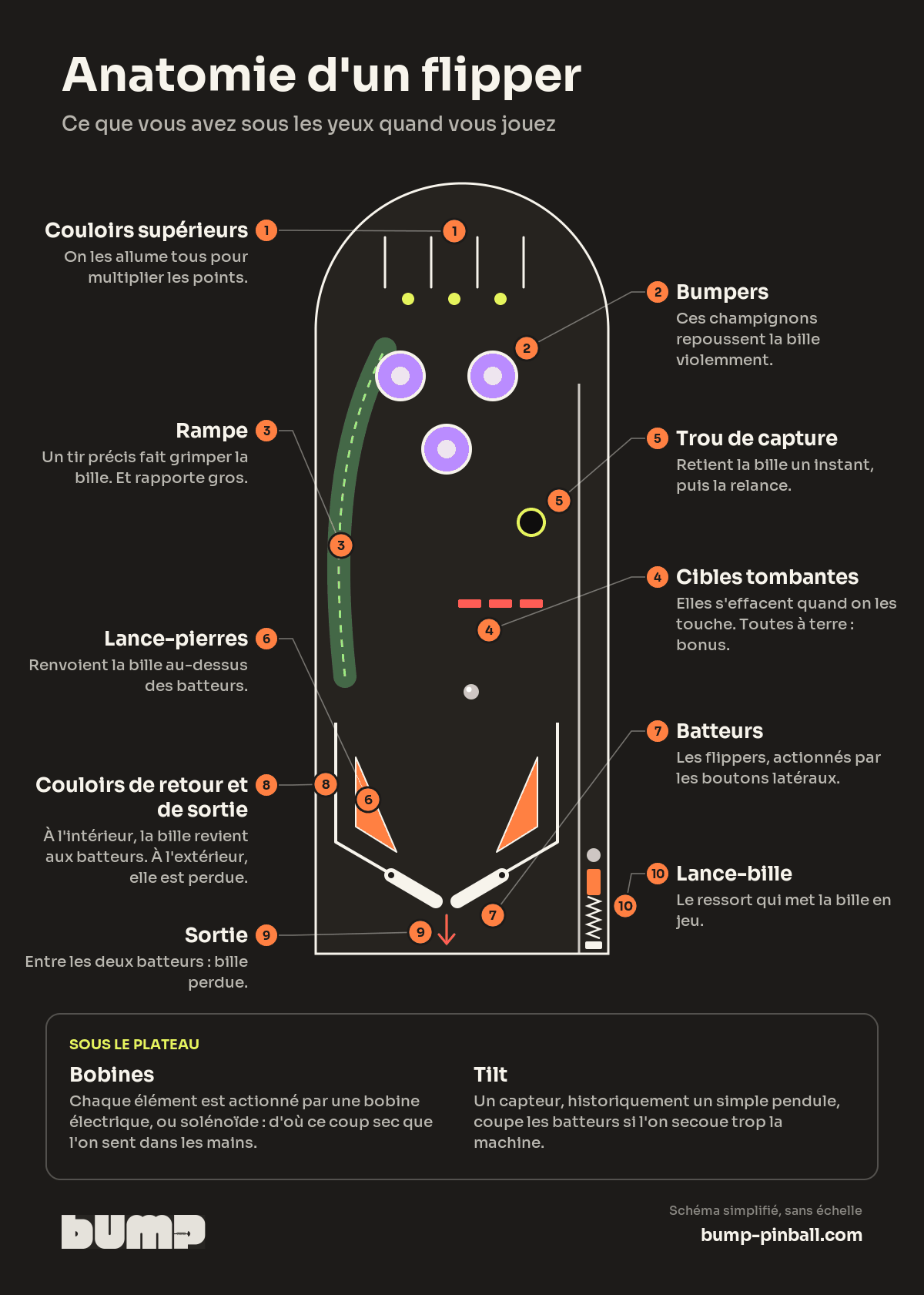 Schéma annoté d'un plateau de flipper : couloirs supérieurs, bumpers, rampe, cibles tombantes, trou de capture, lance-pierres, batteurs, couloirs de sortie, sortie et lance-bille